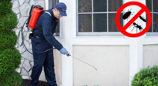 Gölcük Karınca İlaçlama böcek ilaçlama ve haşere kontrolü — ilaclama-tr.com